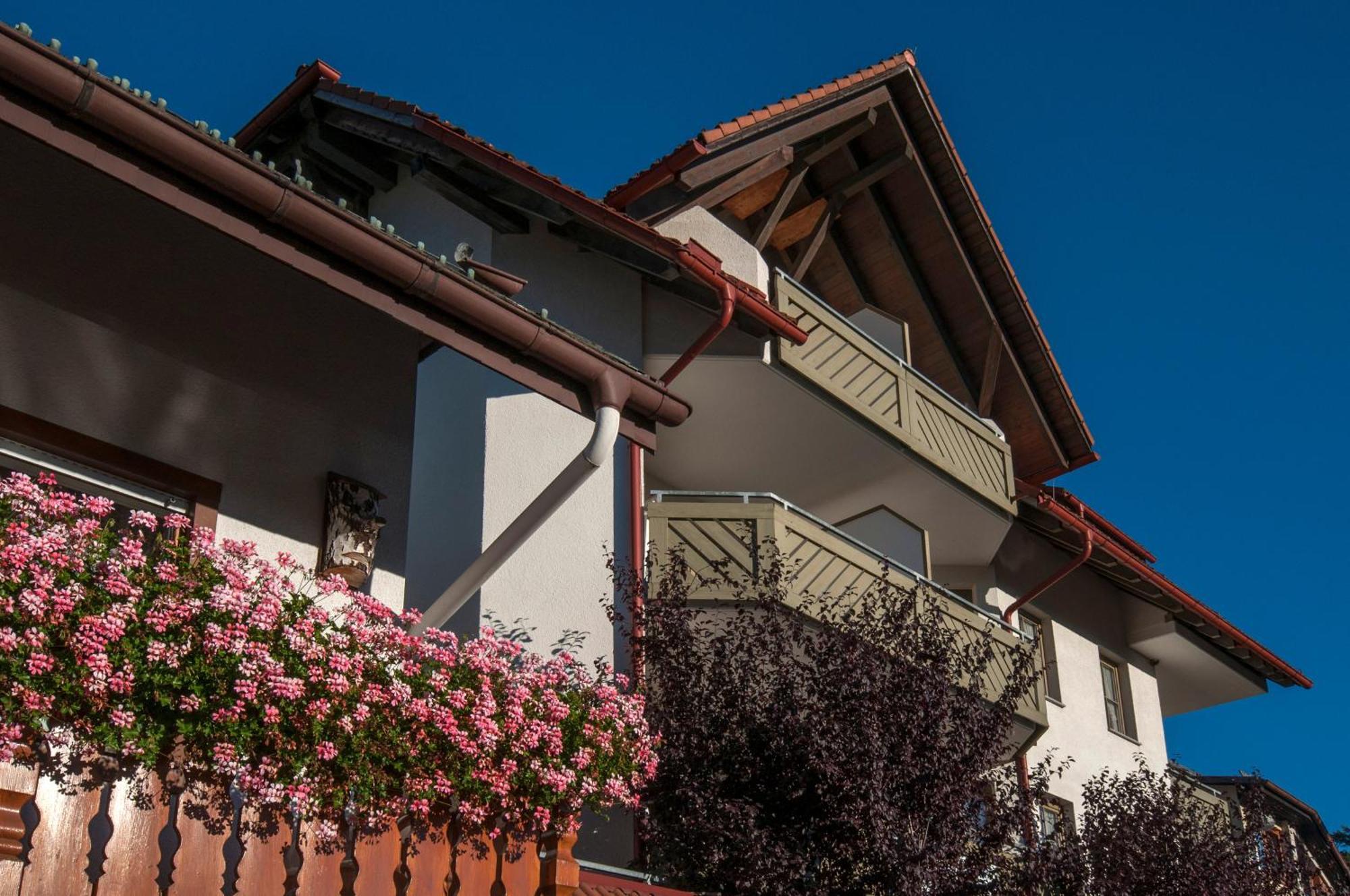 Apartment 03 - Ferienresidenz Roseneck, Mit Schwimmbad In Todtnauberg Bei Feldberg Esterno foto