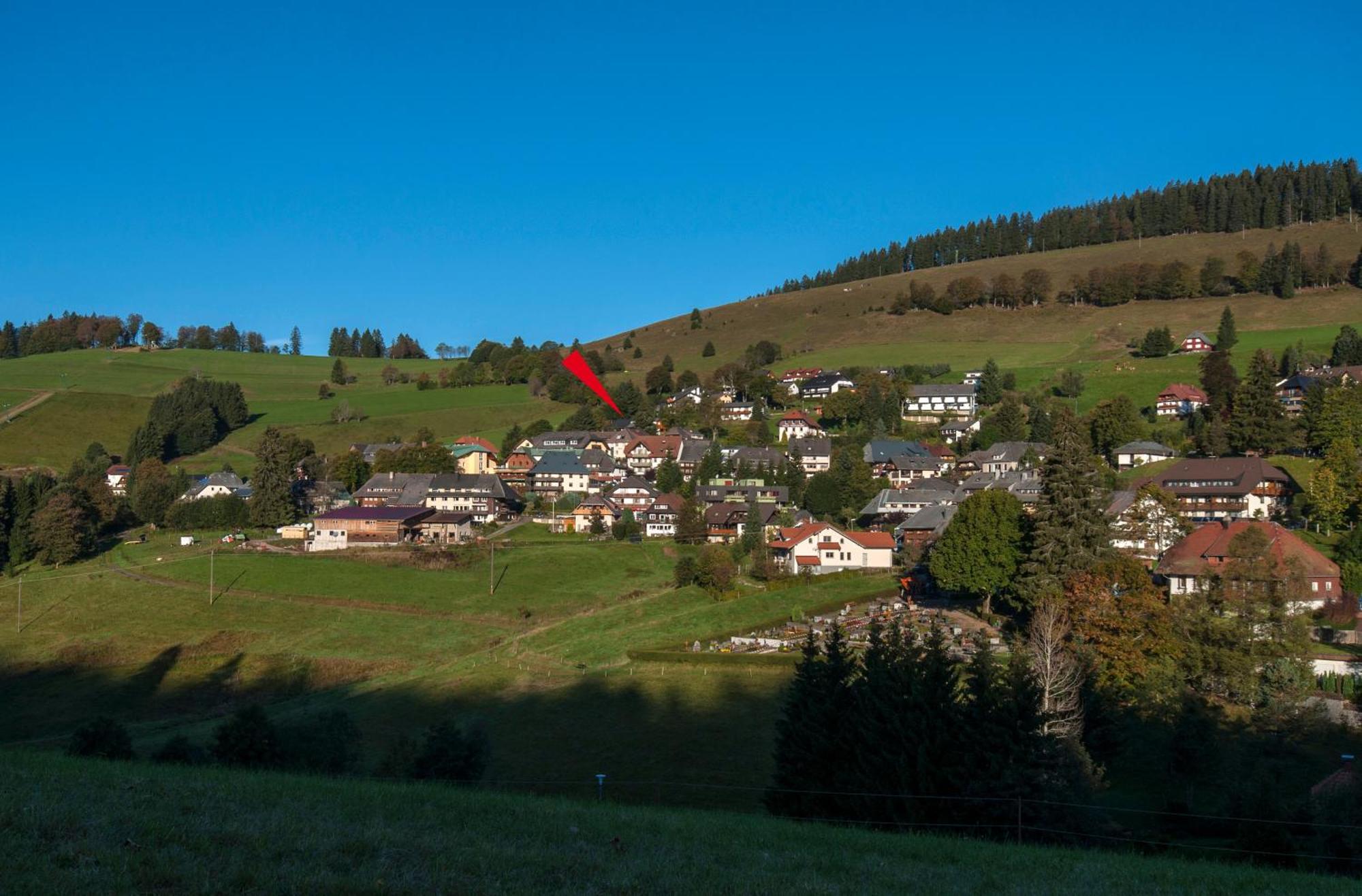 Apartment 03 - Ferienresidenz Roseneck, Mit Schwimmbad In Todtnauberg Bei Feldberg Esterno foto