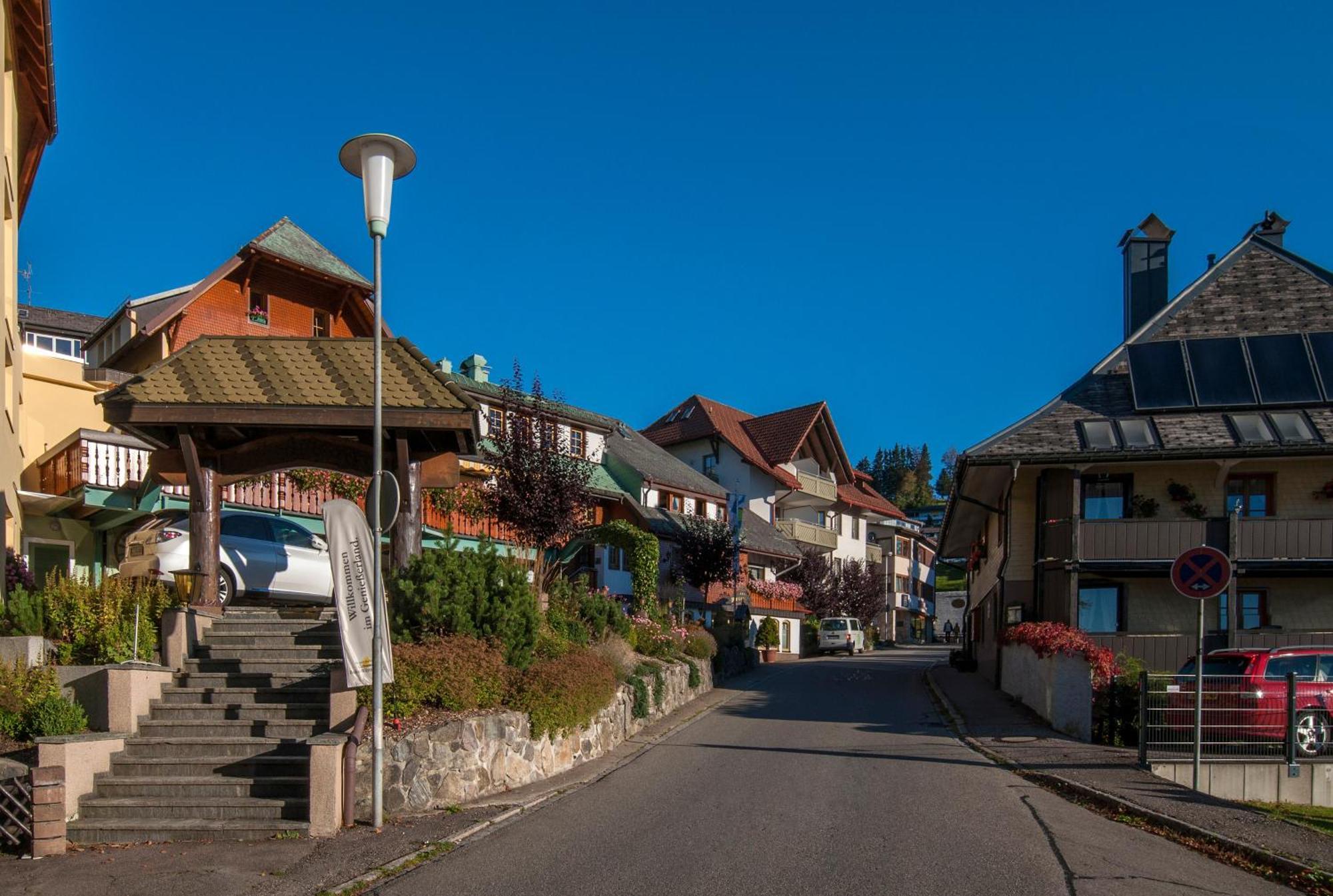 Apartment 03 - Ferienresidenz Roseneck, Mit Schwimmbad In Todtnauberg Bei Feldberg Esterno foto