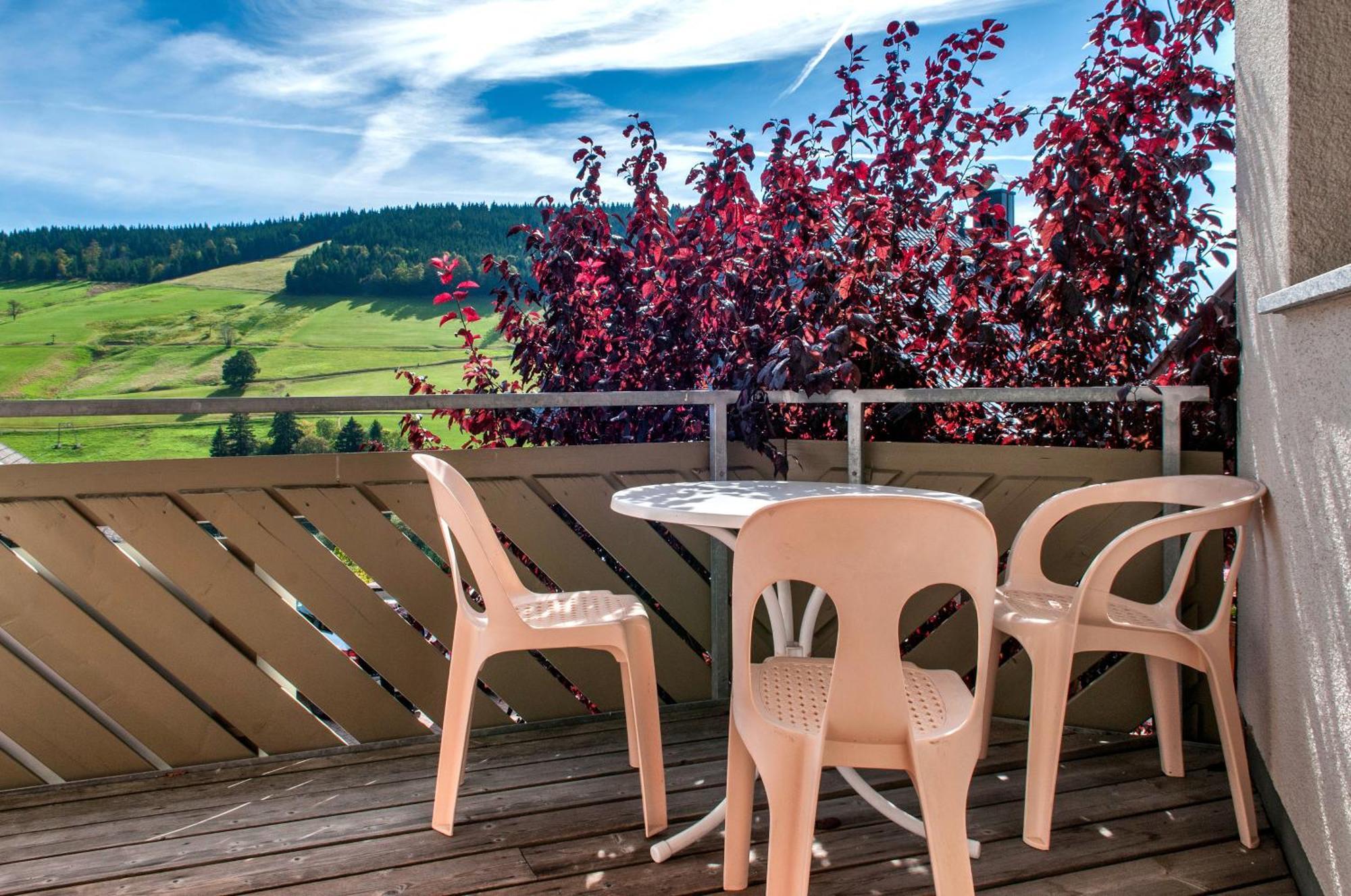 Apartment 03 - Ferienresidenz Roseneck, Mit Schwimmbad In Todtnauberg Bei Feldberg Esterno foto